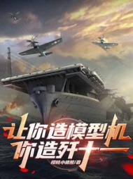 让你造模型机，你造歼十一阅读