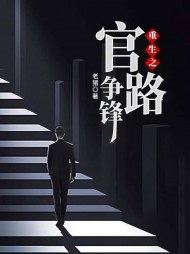 重生之官路争锋齐飞阅读