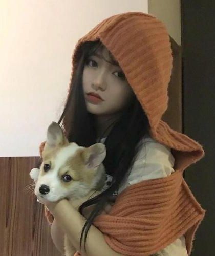 食物链顶端的监护者们