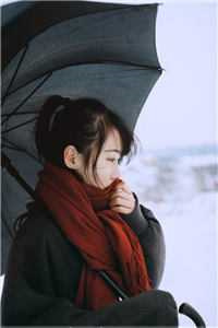 《恶毒男配恋爱指南》作者：风慕野