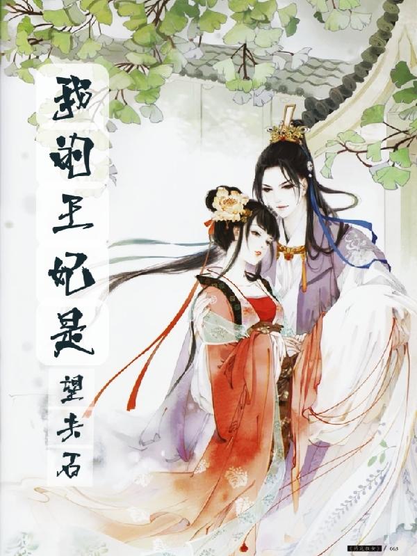 我的王妃是望夫石