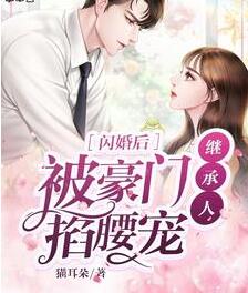 闪婚后被豪门继承人掐腰宠