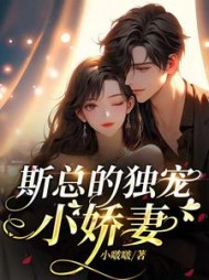 斯总的独宠小娇妻