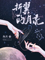 折翼的月亮秦月宋明