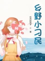 乡野小刁民林天赵秀芬